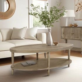 Oval Coffee Table with Shelf